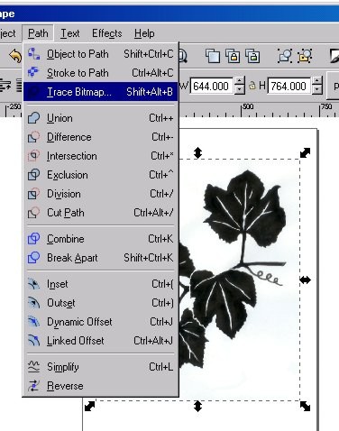 inkscape vector fill white space